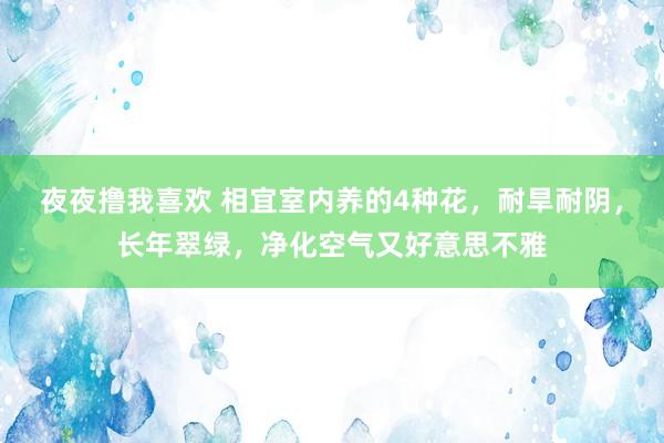 夜夜撸我喜欢 相宜室内养的4种花，耐旱耐阴，长年翠绿，净化空气又好意思不雅