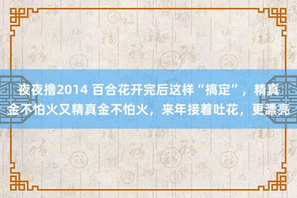 夜夜撸2014 百合花开完后这样“搞定”，精真金不怕火又精真金不怕火，来年接着吐花，更漂亮