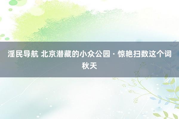 淫民导航 北京潜藏的小众公园 · 惊艳扫数这个词秋天