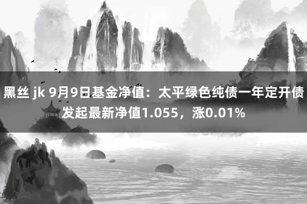 黑丝 jk 9月9日基金净值：太平绿色纯债一年定开债发起最新净值1.055，涨0.01%