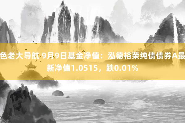 色老大导航 9月9日基金净值：泓德裕荣纯债债券A最新净值1.0515，跌0.01%