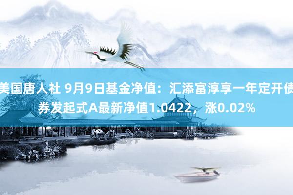 美国唐人社 9月9日基金净值：汇添富淳享一年定开债券发起式A最新净值1.0422，涨0.02%