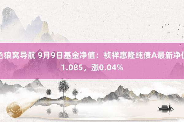 色狼窝导航 9月9日基金净值：祯祥惠隆纯债A最新净值1.085，涨0.04%