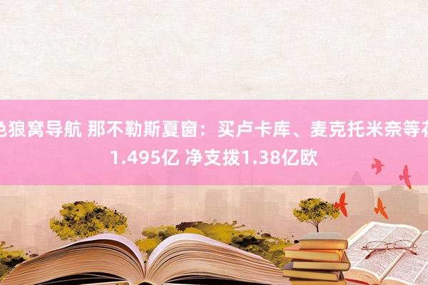 色狼窝导航 那不勒斯夏窗：买卢卡库、麦克托米奈等花1.495亿 净支拨1.38亿欧