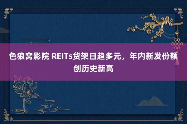 色狼窝影院 REITs货架日趋多元，年内新发份额创历史新高