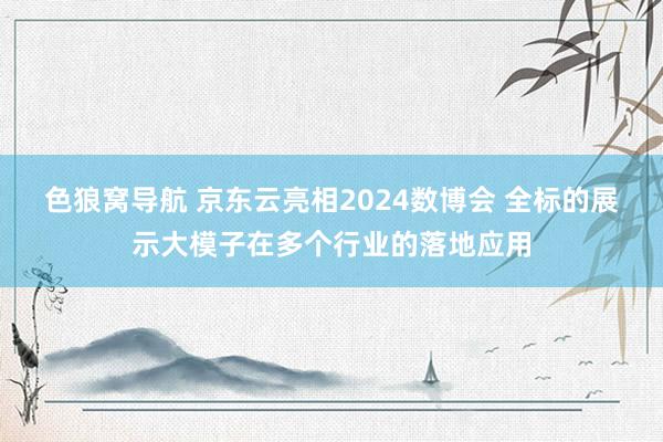 色狼窝导航 京东云亮相2024数博会 全标的展示大模子在多个行业的落地应用