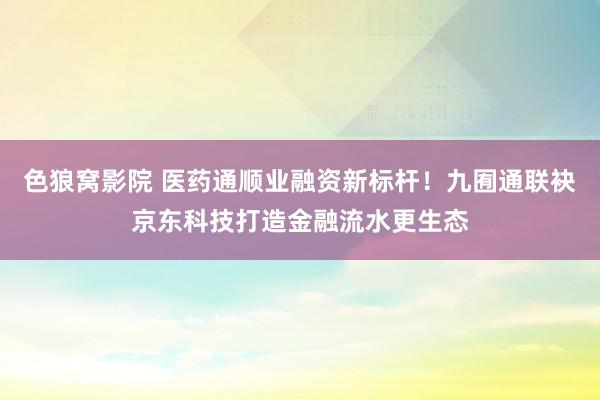 色狼窝影院 医药通顺业融资新标杆！九囿通联袂京东科技打造金融流水更生态