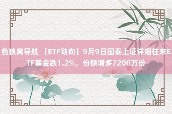 色狼窝导航 【ETF动向】9月9日国泰上证详细往来ETF基金跌1.2%，份额增多7200万份