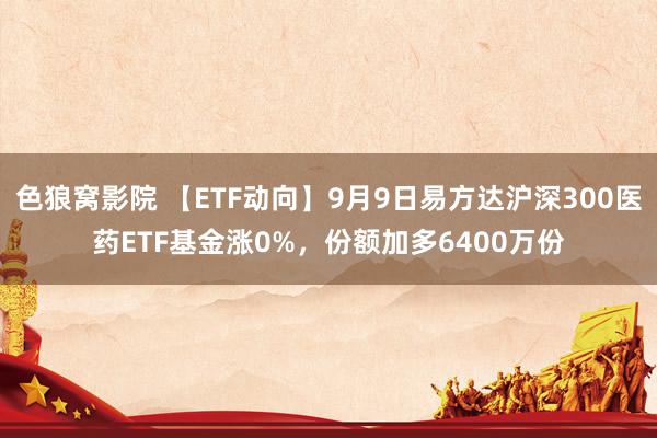 色狼窝影院 【ETF动向】9月9日易方达沪深300医药ETF基金涨0%，份额加多6400万份