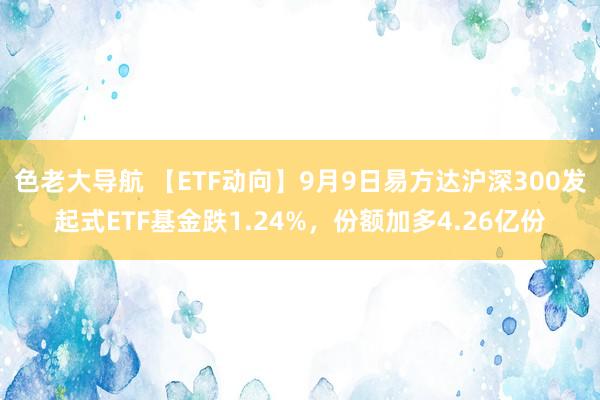 色老大导航 【ETF动向】9月9日易方达沪深300发起式ETF基金跌1.24%，份额加多4.26亿份