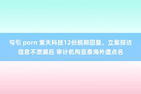 勾引 porn 紫天科技12份脱期回复、立案探访信息不泄漏后 审计机构亚泰海外遭点名