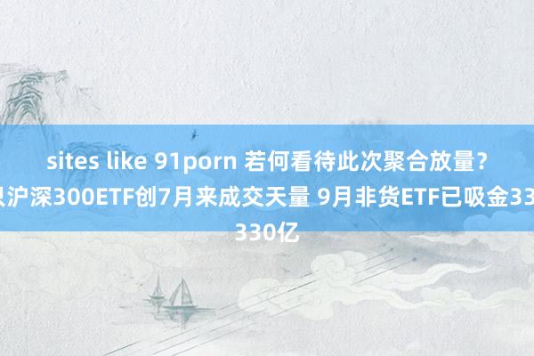 sites like 91porn 若何看待此次聚合放量？多只沪深300ETF创7月来成交天量 9月非货ETF已吸金330亿