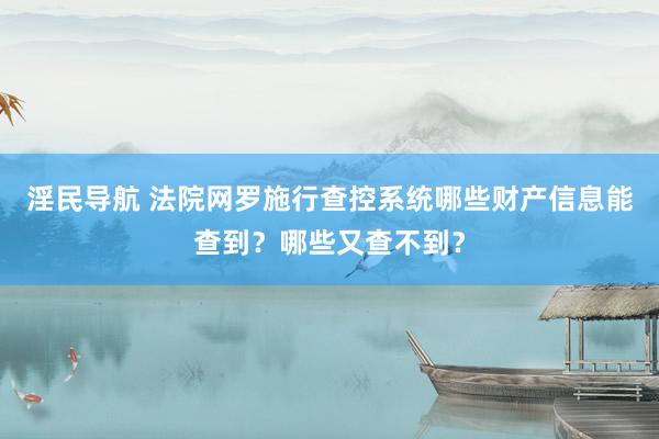 淫民导航 法院网罗施行查控系统哪些财产信息能查到？哪些又查不到？