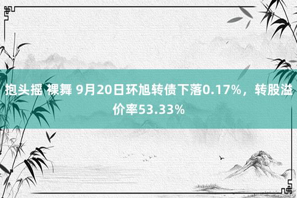 抱头摇 裸舞 9月20日环旭转债下落0.17%，转股溢价率53.33%