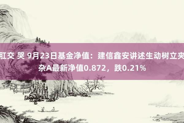 肛交 哭 9月23日基金净值：建信鑫安讲述生动树立夹杂A最新净值0.872，跌0.21%