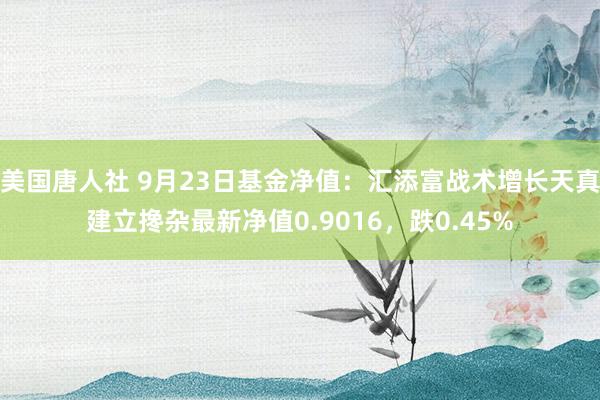 美国唐人社 9月23日基金净值：汇添富战术增长天真建立搀杂最新净值0.9016，跌0.45%