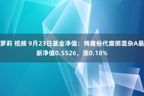 萝莉 视频 9月23日基金净值：博庸俗代糜掷混杂A最新净值0.5526，涨0.18%