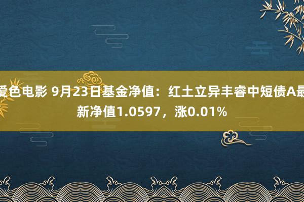 爱色电影 9月23日基金净值：红土立异丰睿中短债A最新净值1.0597，涨0.01%