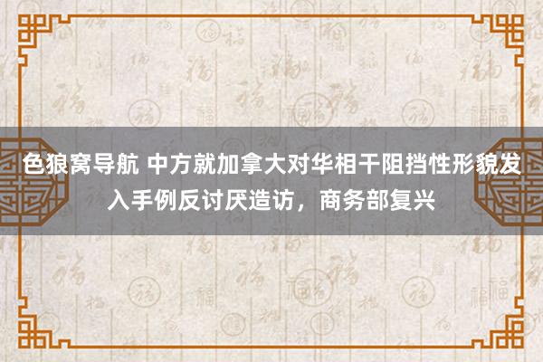 色狼窝导航 中方就加拿大对华相干阻挡性形貌发入手例反讨厌造访，商务部复兴