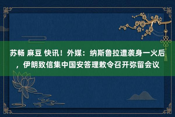 苏畅 麻豆 快讯！外媒：纳斯鲁拉遭袭身一火后，伊朗致信集中国安答理敕令召开弥留会议