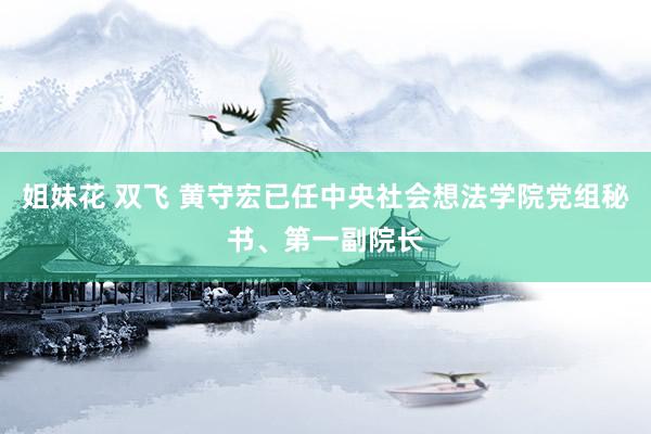 姐妹花 双飞 黄守宏已任中央社会想法学院党组秘书、第一副院长