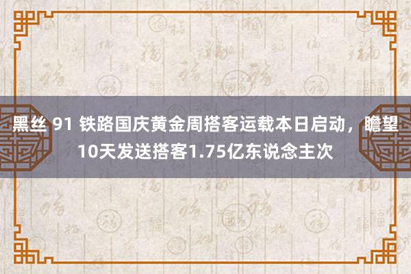 黑丝 91 铁路国庆黄金周搭客运载本日启动，瞻望10天发送搭客1.75亿东说念主次