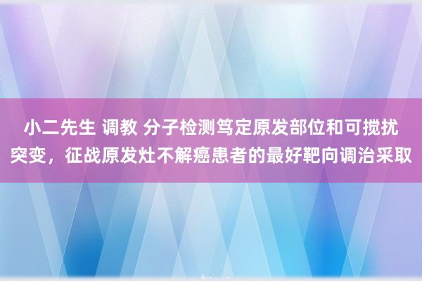 小二先生 调教 分子检测笃定原发部位和可搅扰突变，征战原发灶不解癌患者的最好靶向调治采取