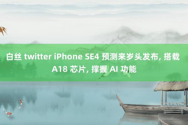 白丝 twitter iPhone SE4 预测来岁头发布， 搭载 A18 芯片， 撑握 AI 功能