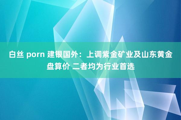 白丝 porn 建银国外：上调紫金矿业及山东黄金盘算价 二者均为行业首选