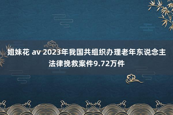 姐妹花 av 2023年我国共组织办理老年东说念主法律挽救案件9.72万件