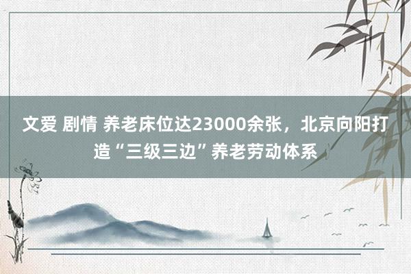 文爱 剧情 养老床位达23000余张，北京向阳打造“三级三边”养老劳动体系