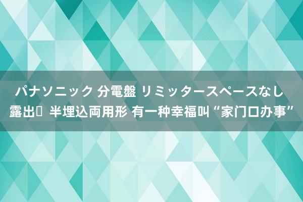 パナソニック 分電盤 リミッタースペースなし 露出・半埋込両用形 有一种幸福叫“家门口办事”