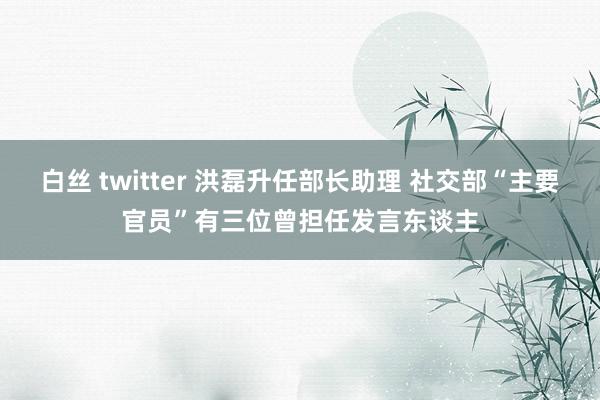 白丝 twitter 洪磊升任部长助理 社交部“主要官员”有三位曾担任发言东谈主