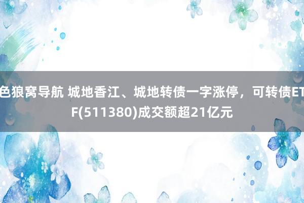 色狼窝导航 城地香江、城地转债一字涨停，可转债ETF(511380)成交额超21亿元