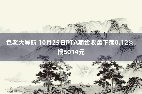 色老大导航 10月25日PTA期货收盘下落0.12%，报5014元