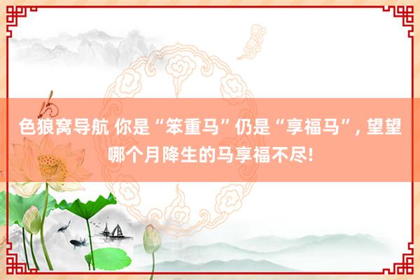 色狼窝导航 你是“笨重马”仍是“享福马”， 望望哪个月降生的马享福不尽!