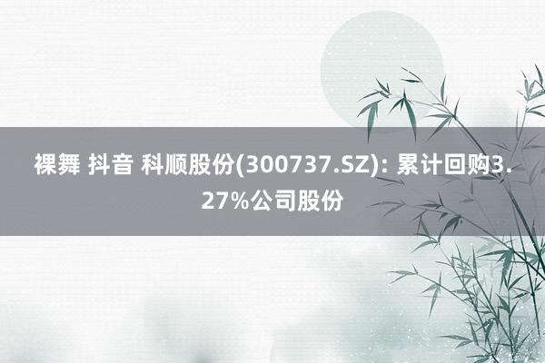 裸舞 抖音 科顺股份(300737.SZ): 累计回购3.27%公司股份