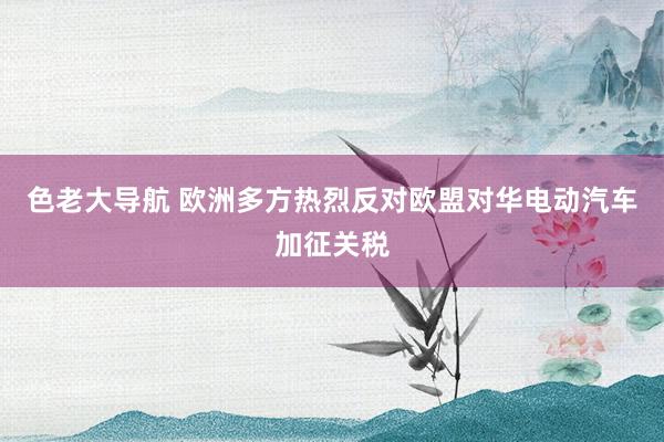 色老大导航 欧洲多方热烈反对欧盟对华电动汽车加征关税