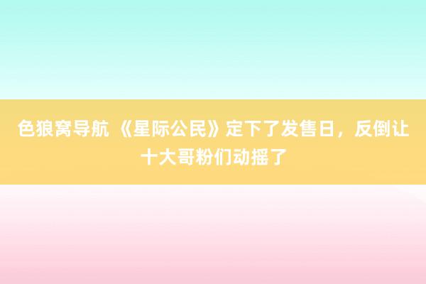 色狼窝导航 《星际公民》定下了发售日，反倒让十大哥粉们动摇了