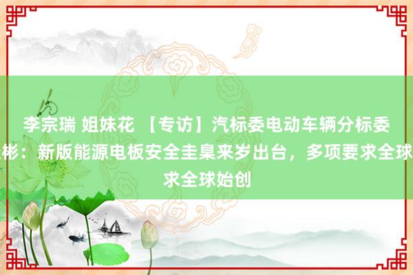 李宗瑞 姐妹花 【专访】汽标委电动车辆分标委刘桂彬：新版能源电板安全圭臬来岁出台，多项要求全球始创