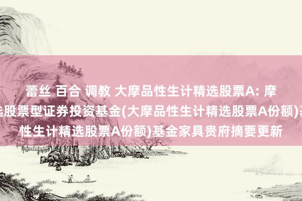 蕾丝 百合 调教 大摩品性生计精选股票A: 摩根士丹利品性生计精选股票型证券投资基金(大摩品性生计精选股票A份额)基金家具贵府摘要更新