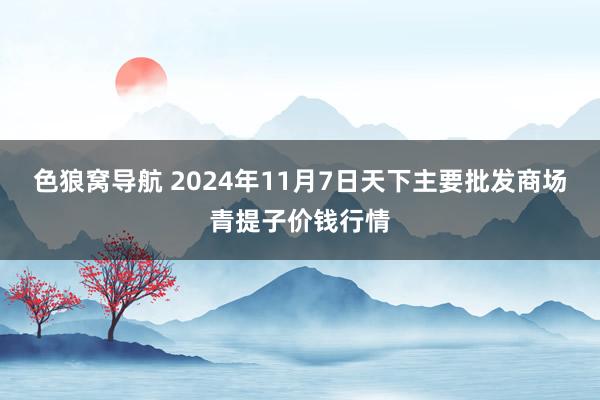 色狼窝导航 2024年11月7日天下主要批发商场青提子价钱行情