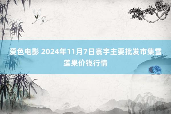 爱色电影 2024年11月7日寰宇主要批发市集雪莲果价钱行情