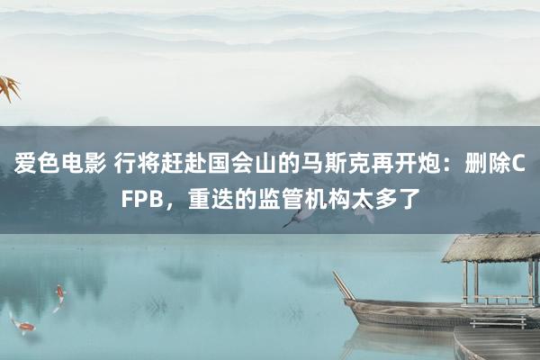 爱色电影 行将赶赴国会山的马斯克再开炮：删除CFPB，重迭的监管机构太多了