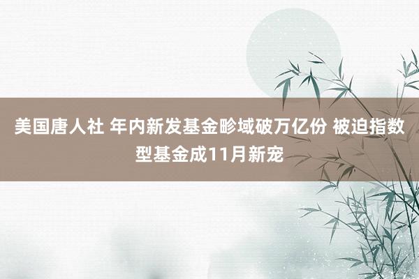 美国唐人社 年内新发基金畛域破万亿份 被迫指数型基金成11月新宠