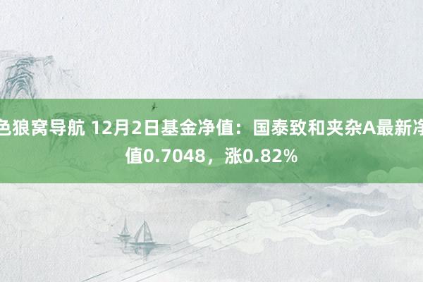 色狼窝导航 12月2日基金净值：国泰致和夹杂A最新净值0.7048，涨0.82%