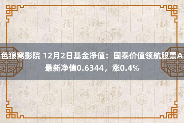 色狼窝影院 12月2日基金净值：国泰价值领航股票A最新净值0.6344，涨0.4%