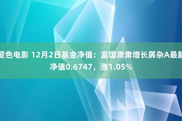 爱色电影 12月2日基金净值：富国肃肃增长羼杂A最新净值0.6747，涨1.05%