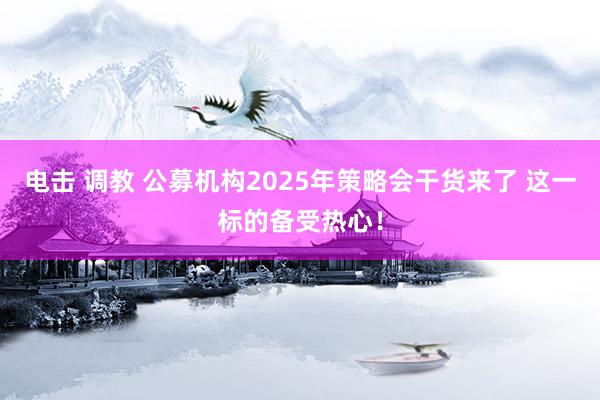 电击 调教 公募机构2025年策略会干货来了 这一标的备受热心！