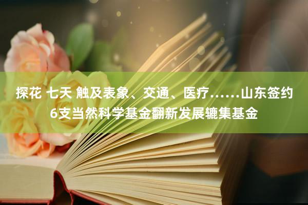 探花 七天 触及表象、交通、医疗……山东签约6支当然科学基金翻新发展辘集基金